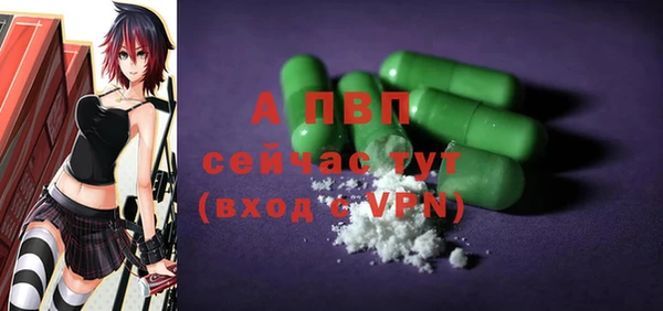 стаф Ельня