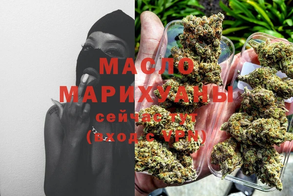молекула духа Арсеньев