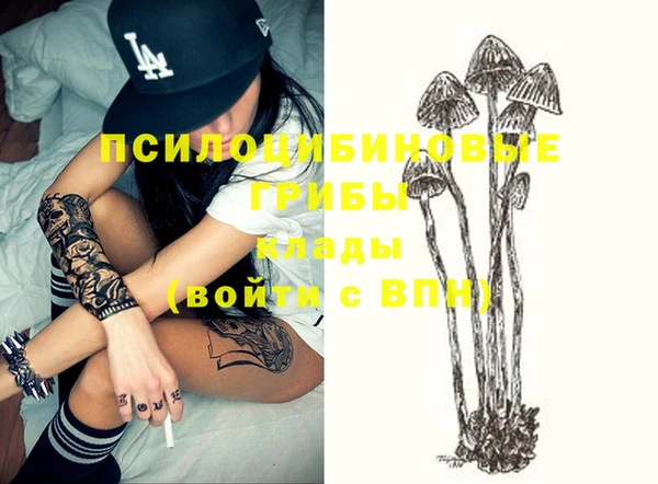 ECSTASY Армянск