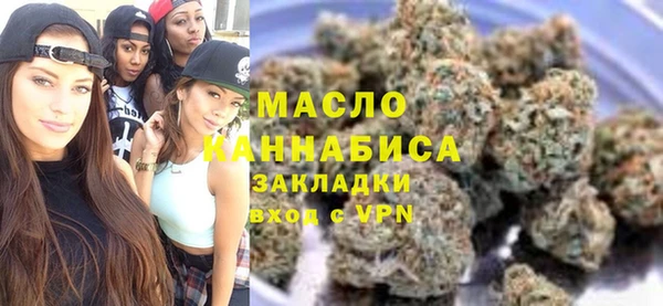 молекула духа Арсеньев