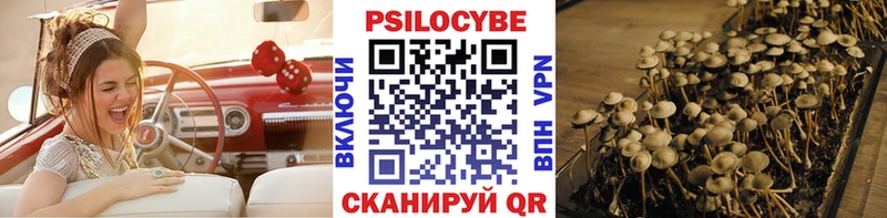 Галлюциногенные грибы Cubensis даркнет официальный сайт Мглин